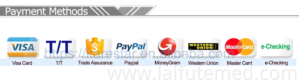 Veterinary Digital Ultrasonic Diagnostic Imaging System Portable Laptop B/W Handheld Ultrasound